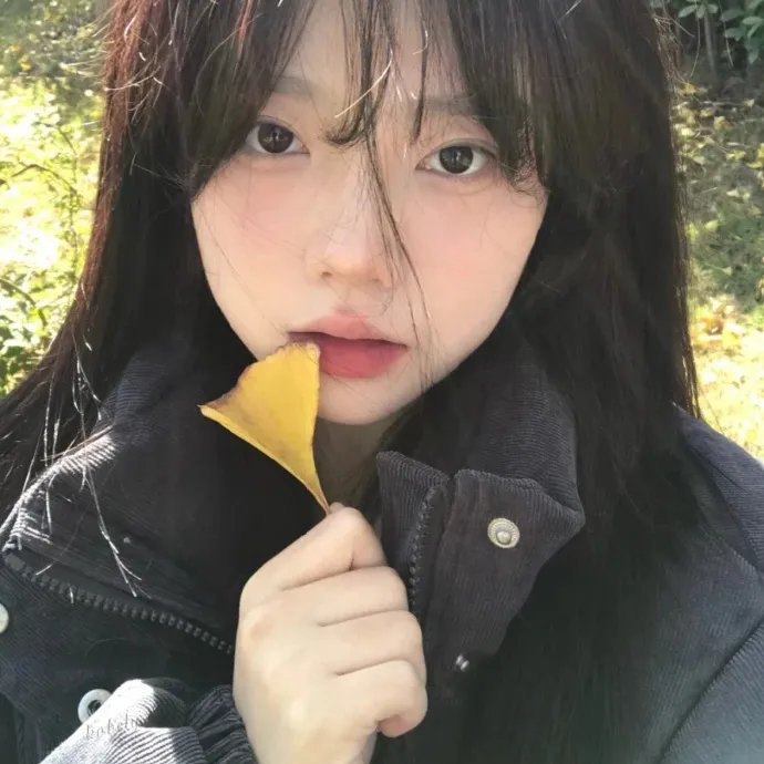 我的喜马拉雅