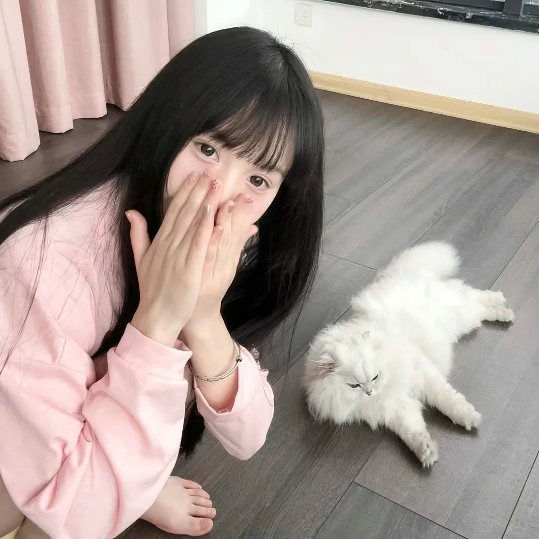 功夫熊猫